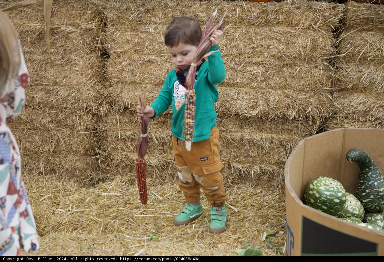 Autumn Harvest Adventure