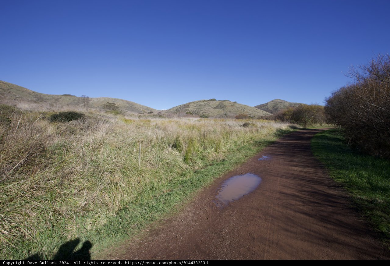 The Road Less Traveled: Solitary Walk 2024