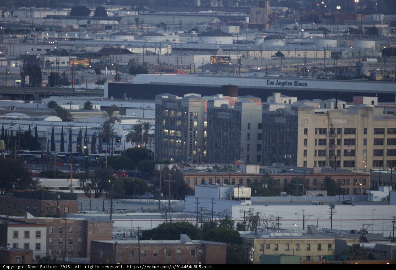 The Urban Jungle