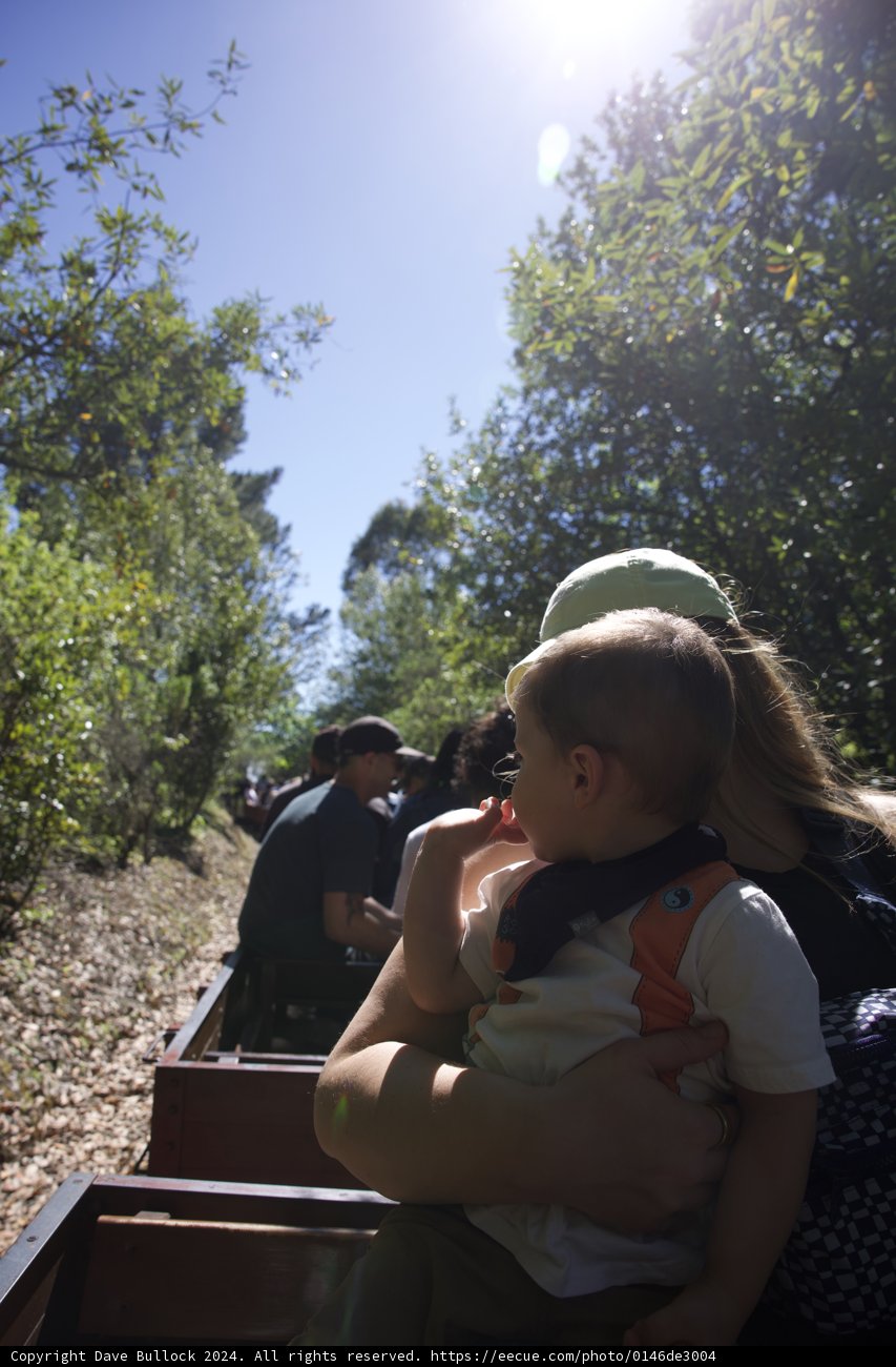 Enchanted Rides at Tilden Park