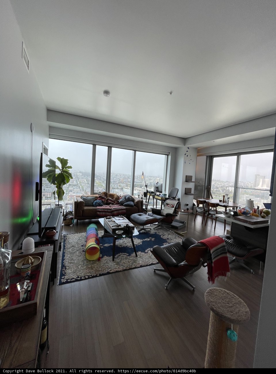 Cozy Living Room with a Furry Friend