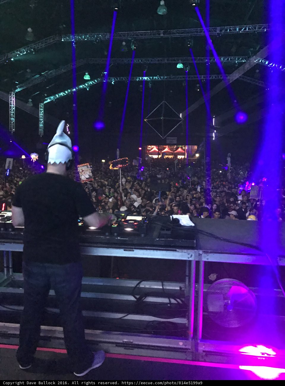 Rocking the Night Away