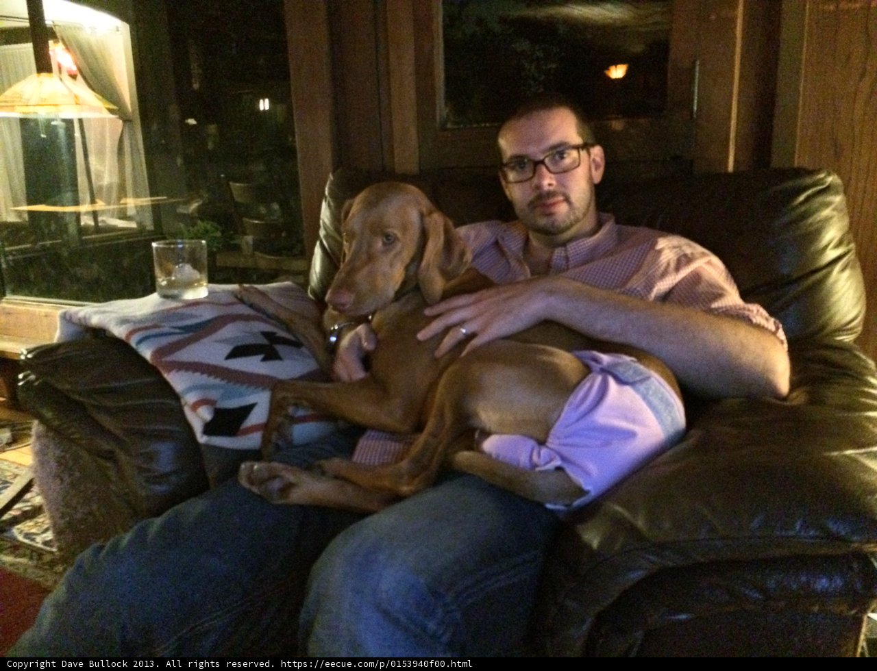 Man's Best Friend on the Couch
