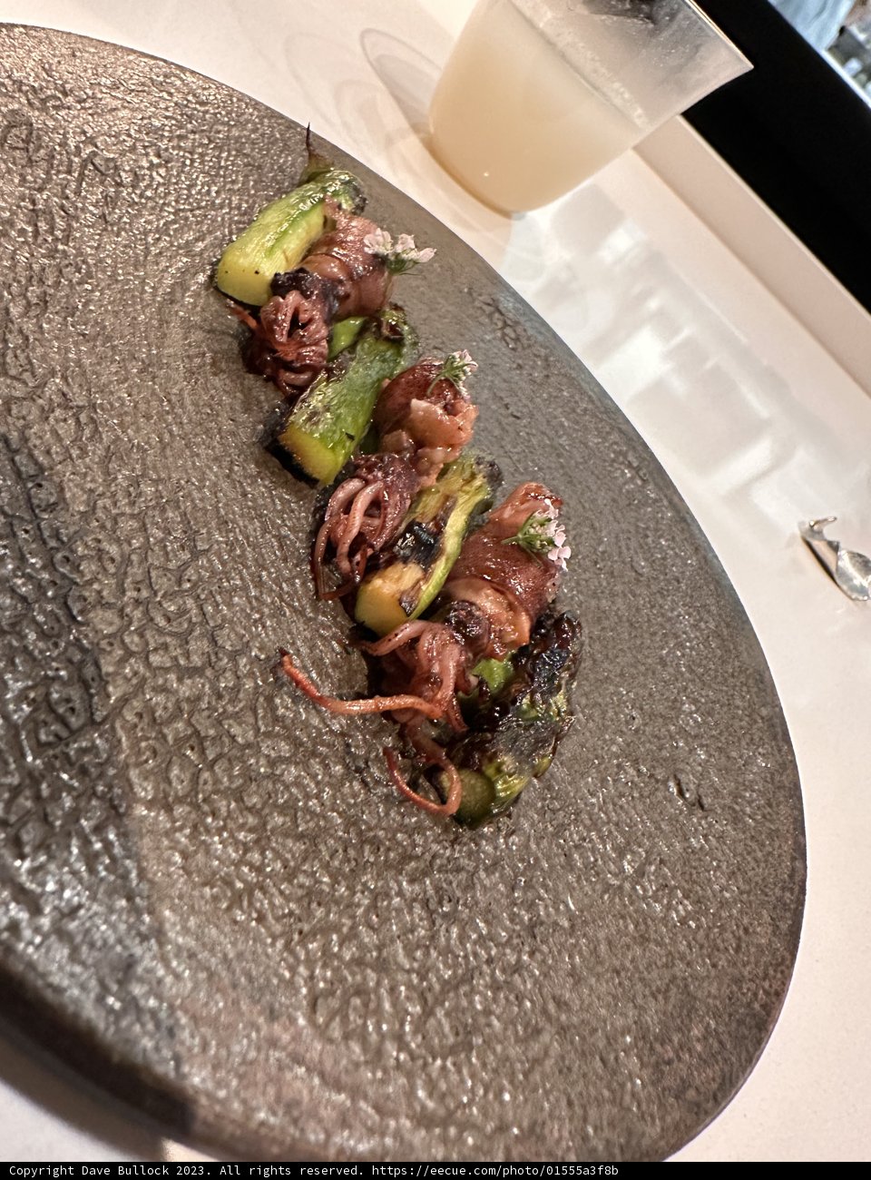 Squid Sensation in San Francisco