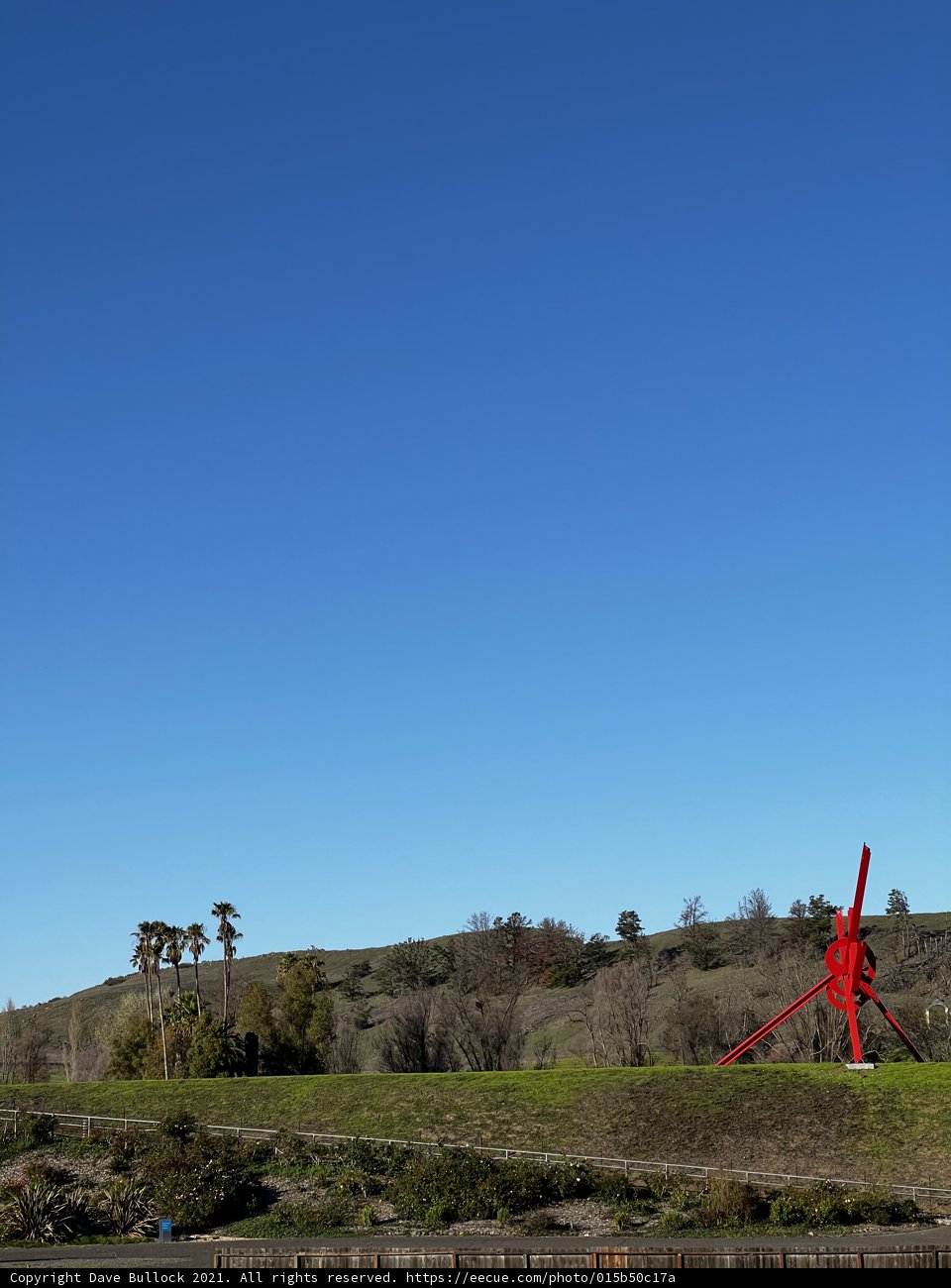 Majestic Red Kite Flying Over Verdant Fields