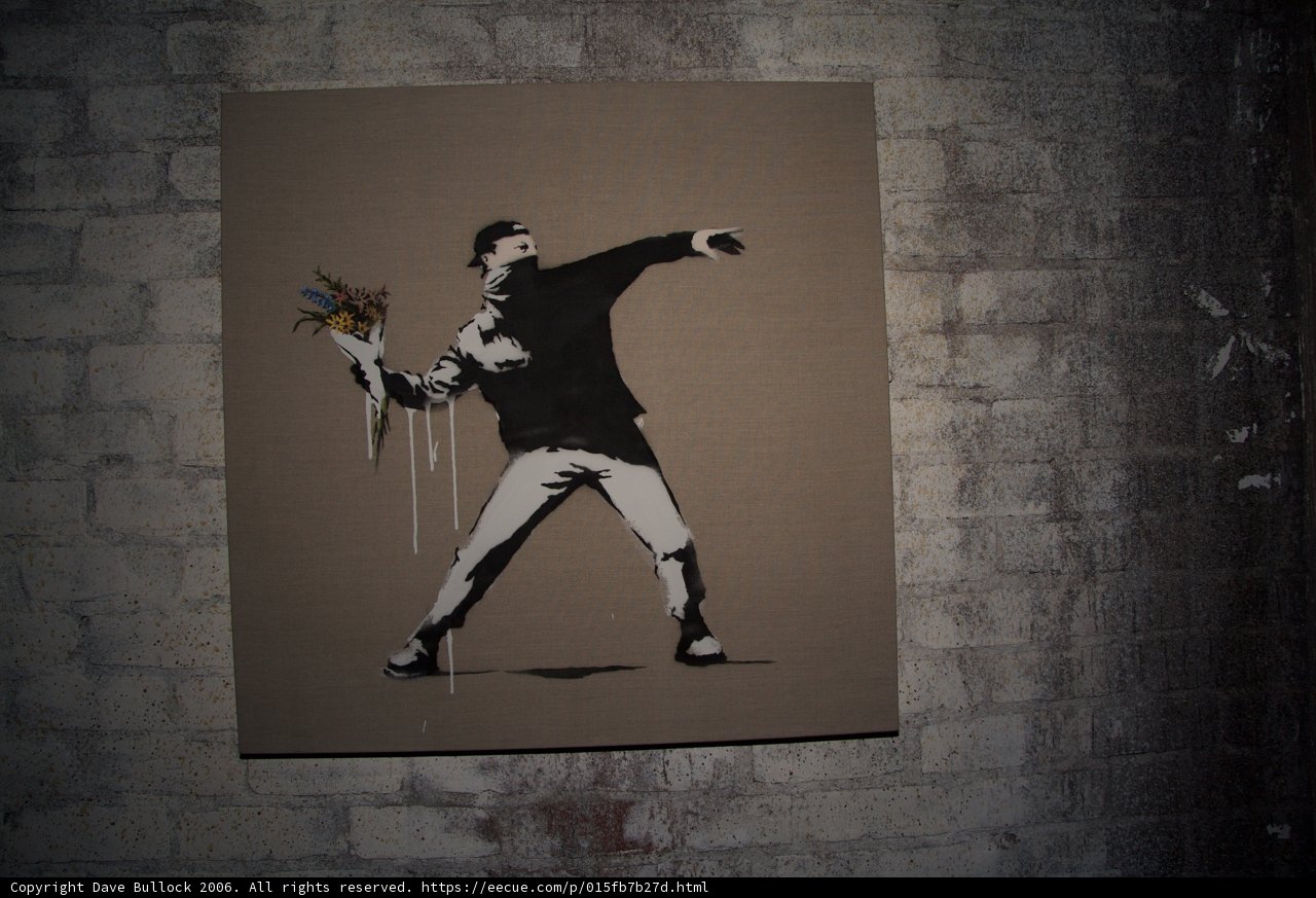The Flower Thrower