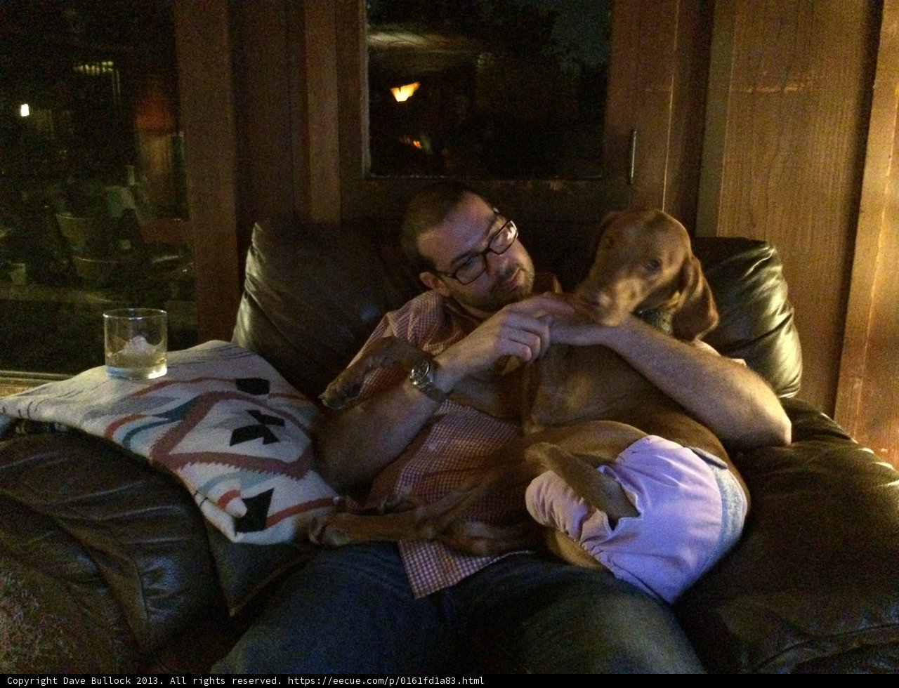 Man and Dog on the Couch