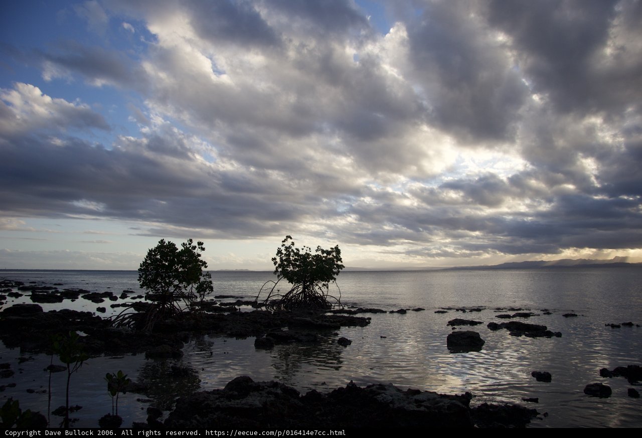 Alone on the Shore