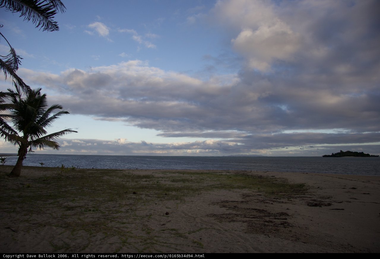 Serene Summer Scene Caption: A peaceful tropical beach with a solitary palm tree and a fluffy cumulus cloud in the sky.