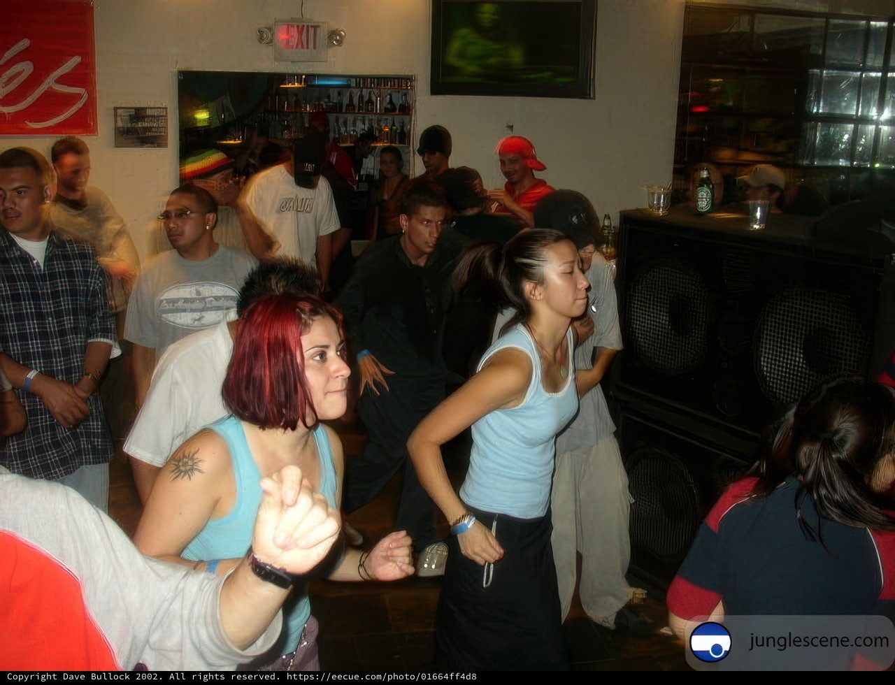 Nightclub Gathering
