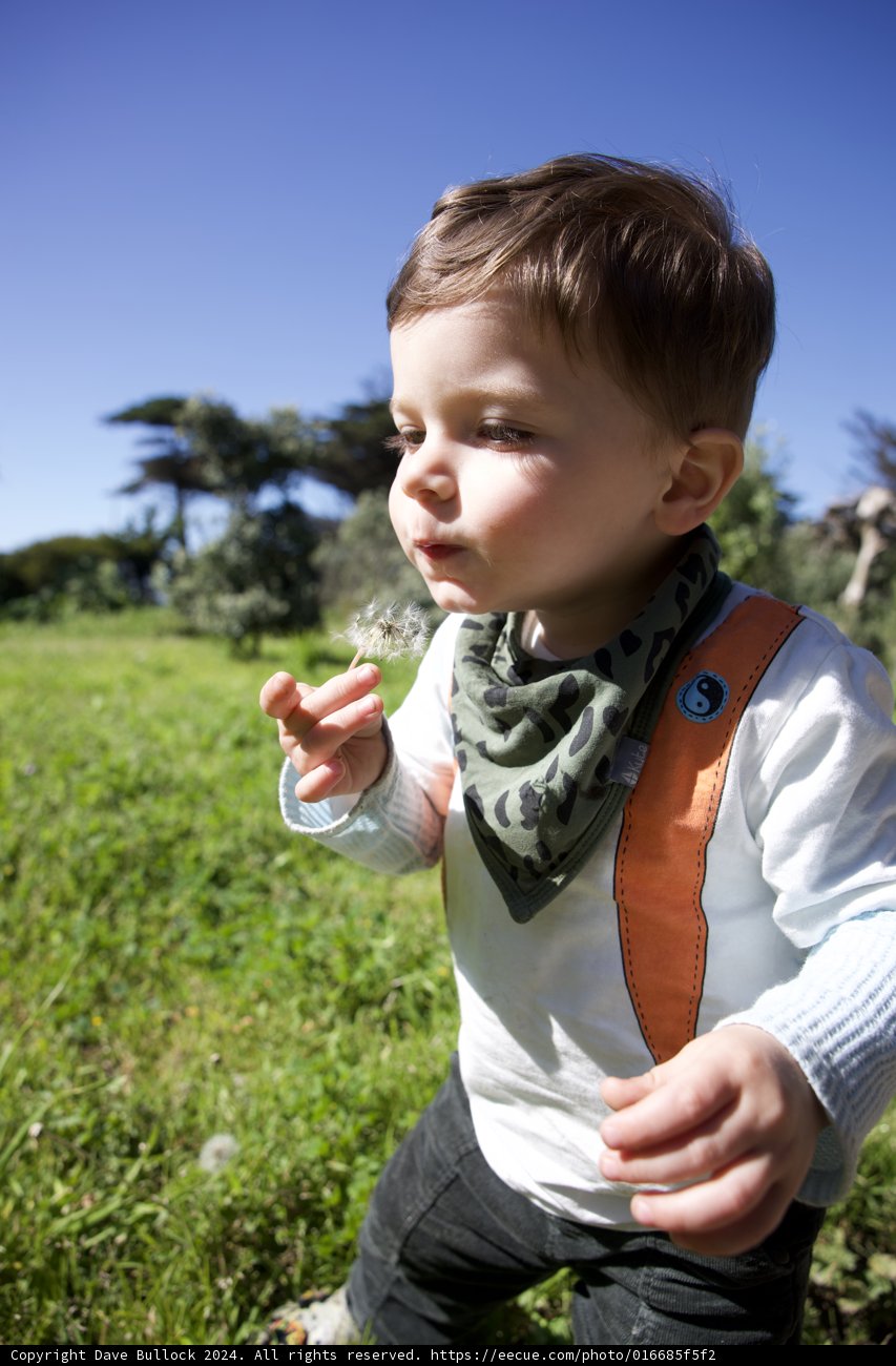 Moment of Innocence in Golden Gate Park, 2024