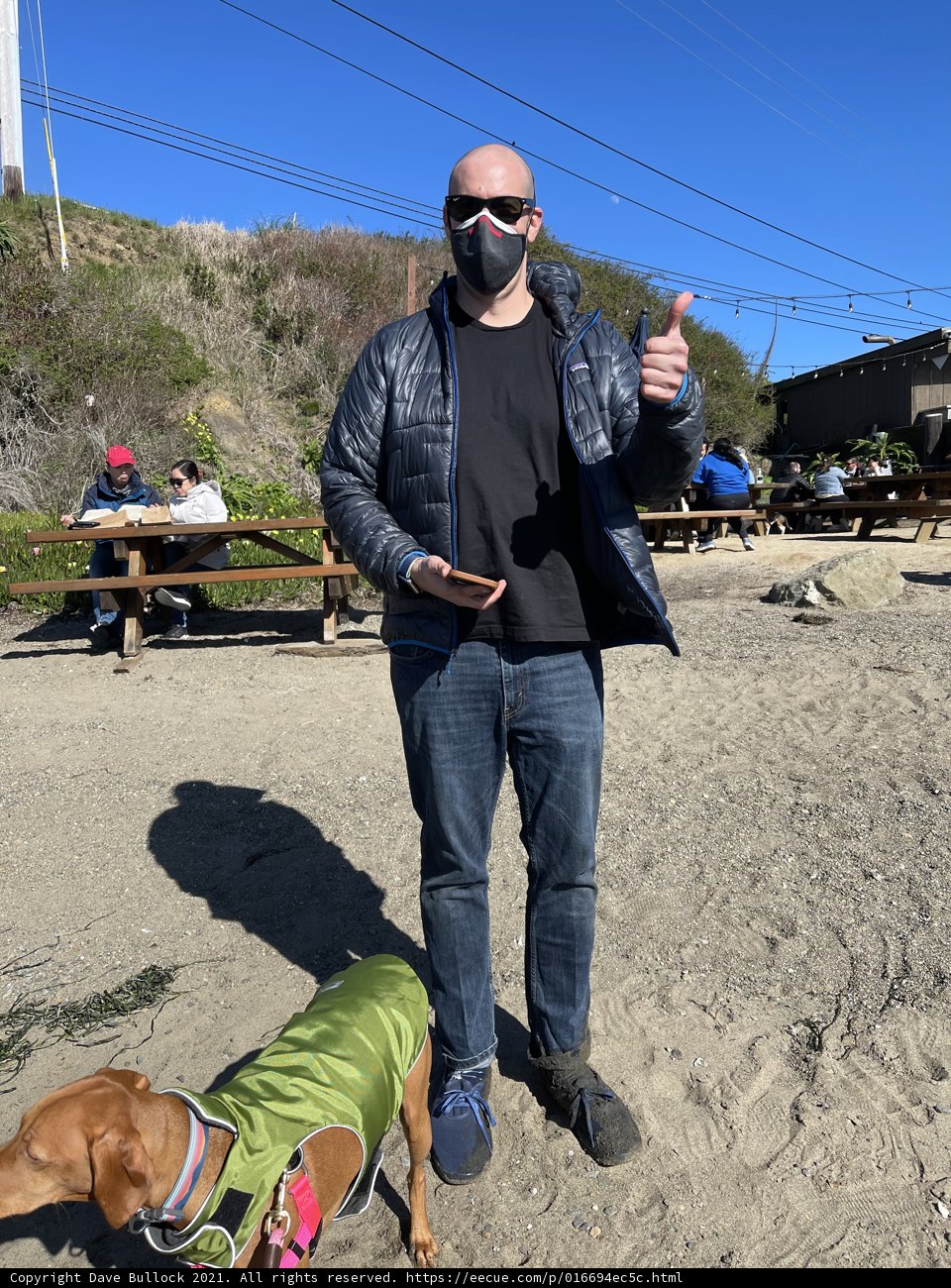 Masked Man and His Canine Companion on the Beach