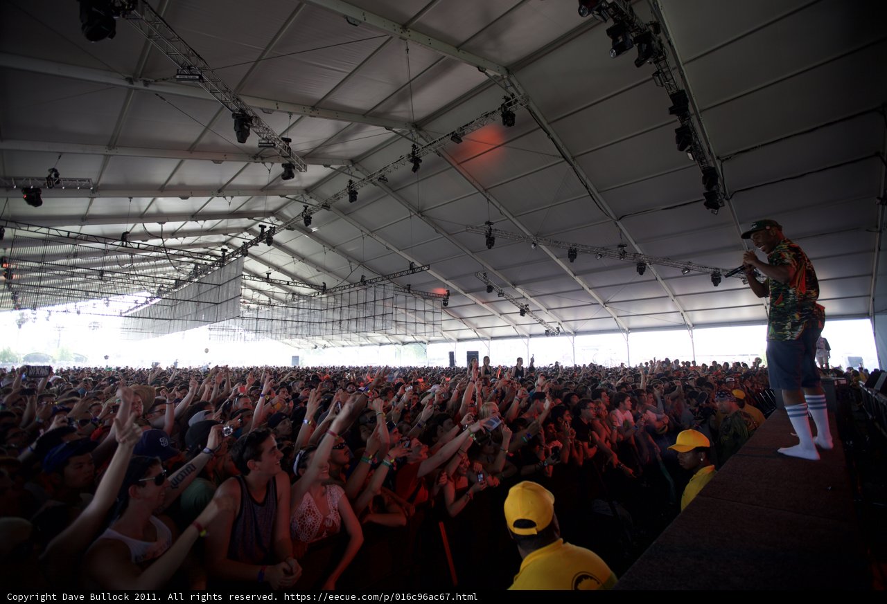 The Electric Crowd of Coachella 2011