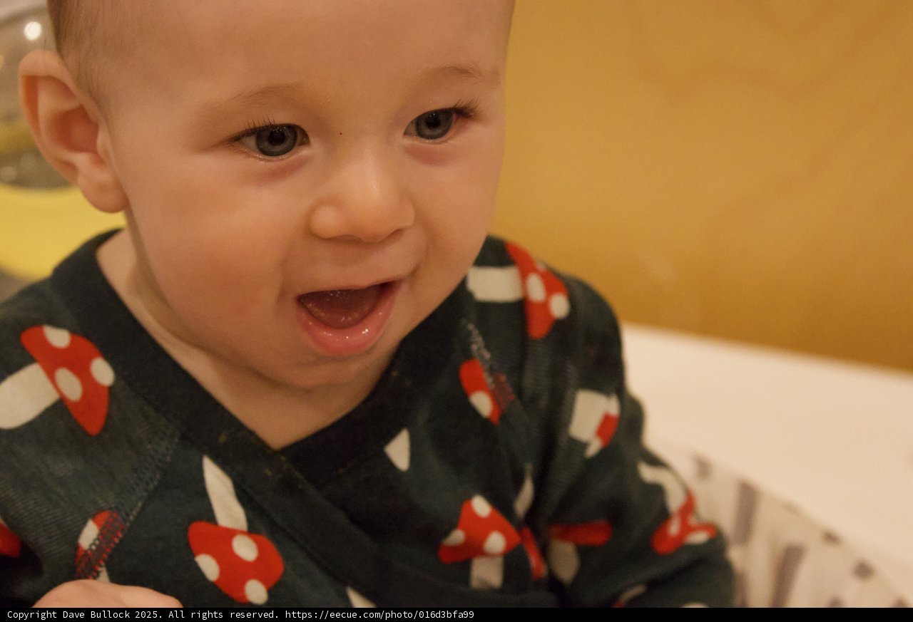 Joyful Curiosity