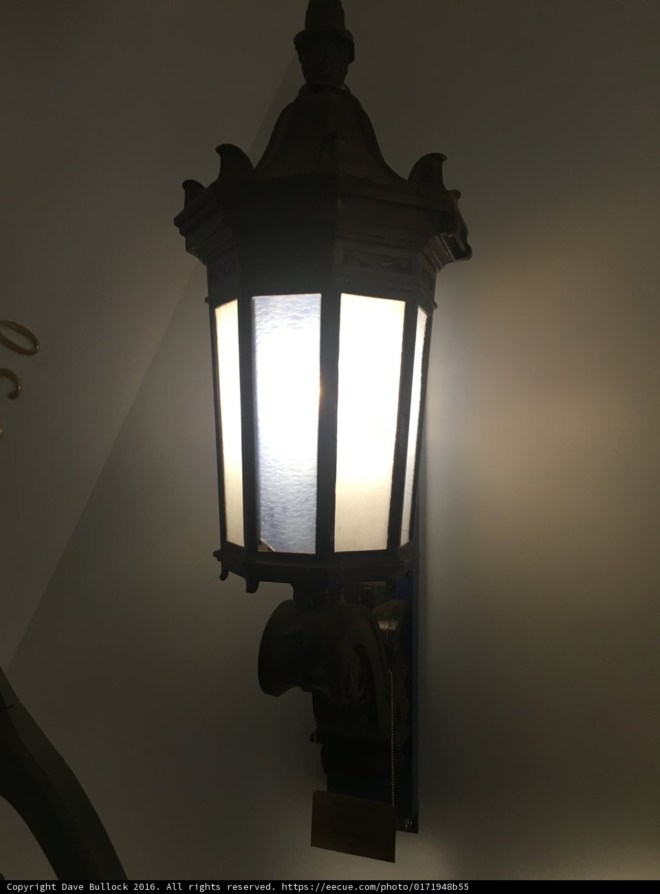 Illuminated Beauty