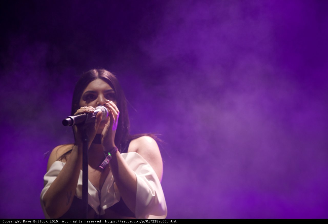 Purple Haze Solo