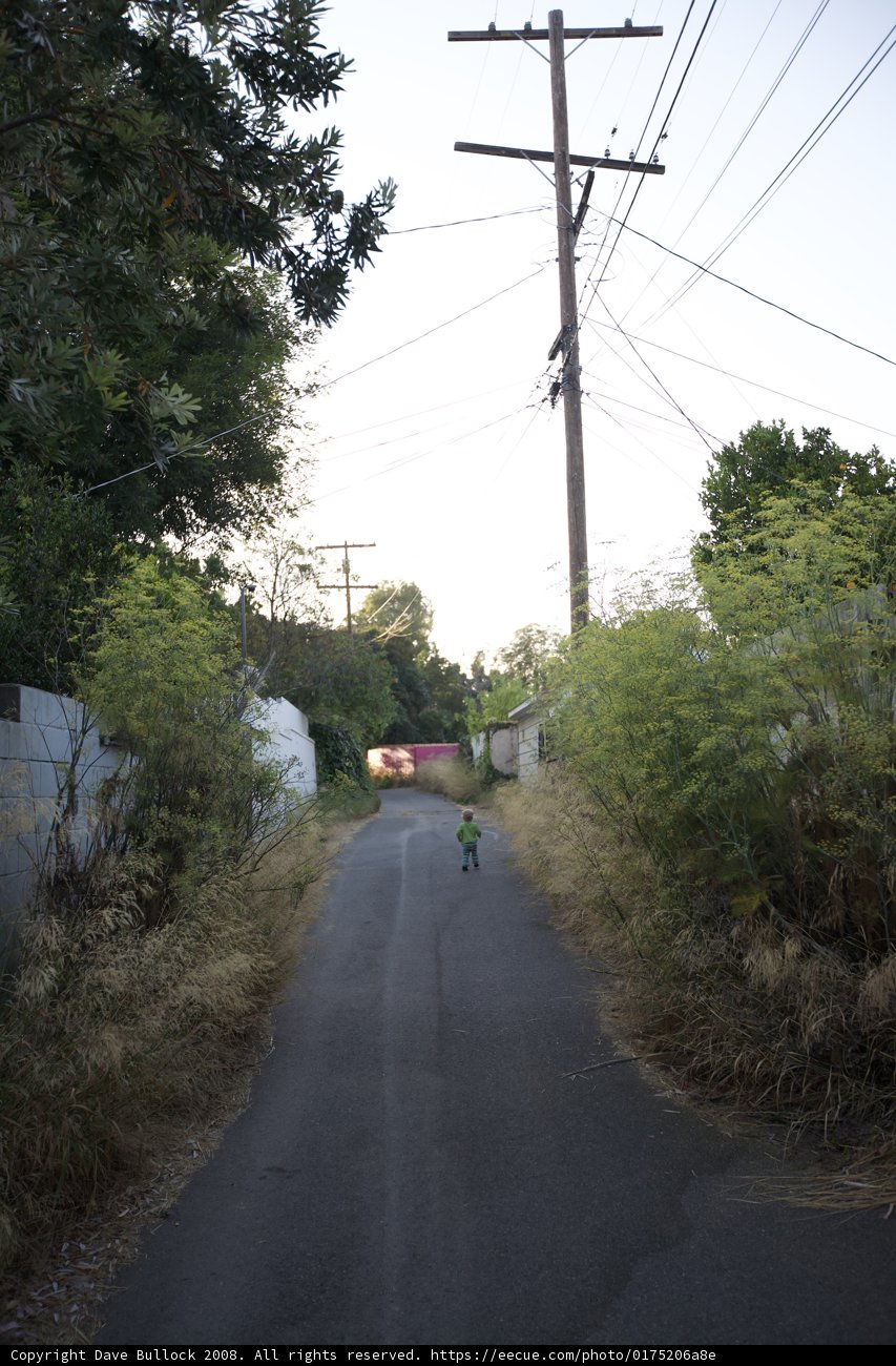 Biking Through the Urban Jungle