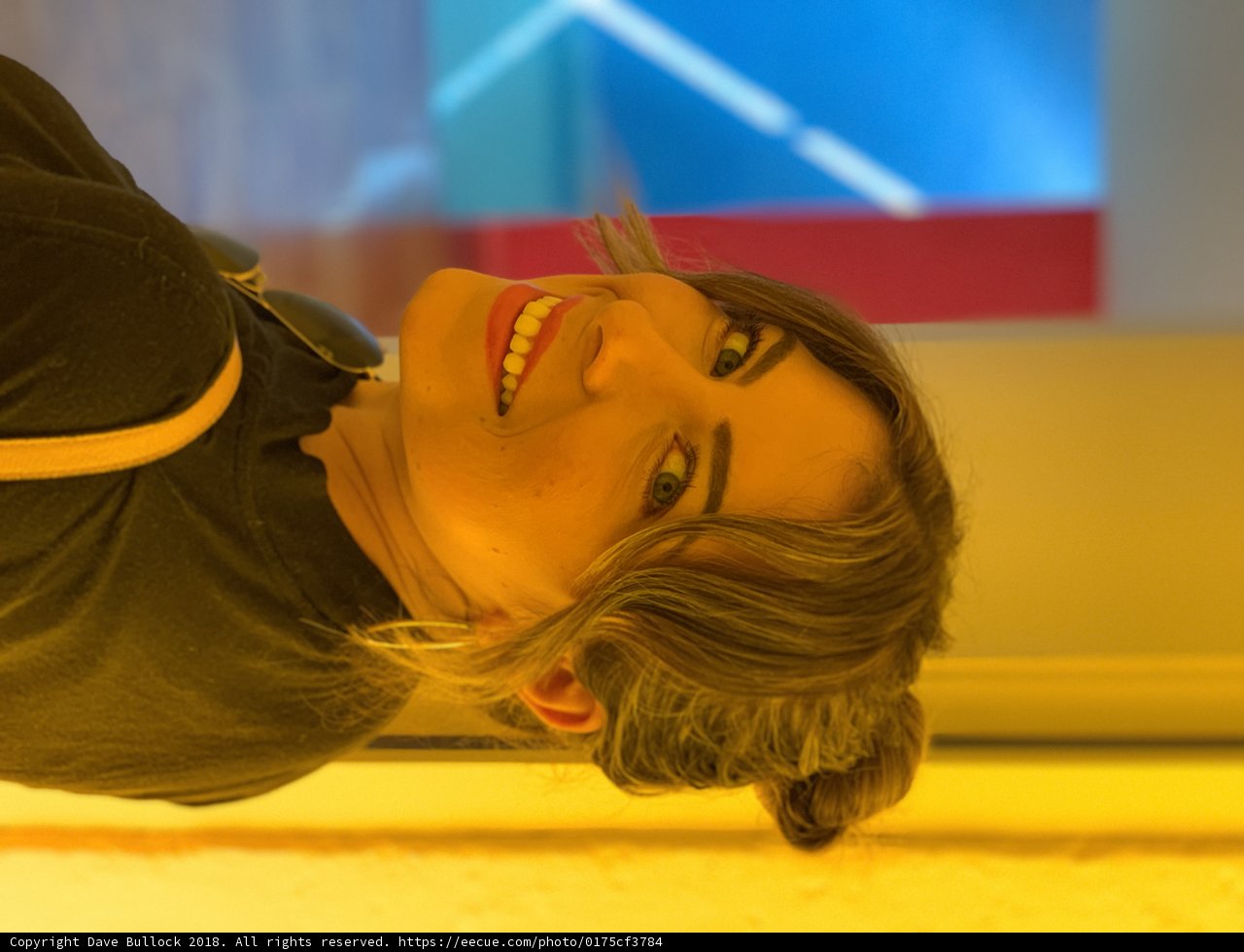 A Picture-Perfect Smile