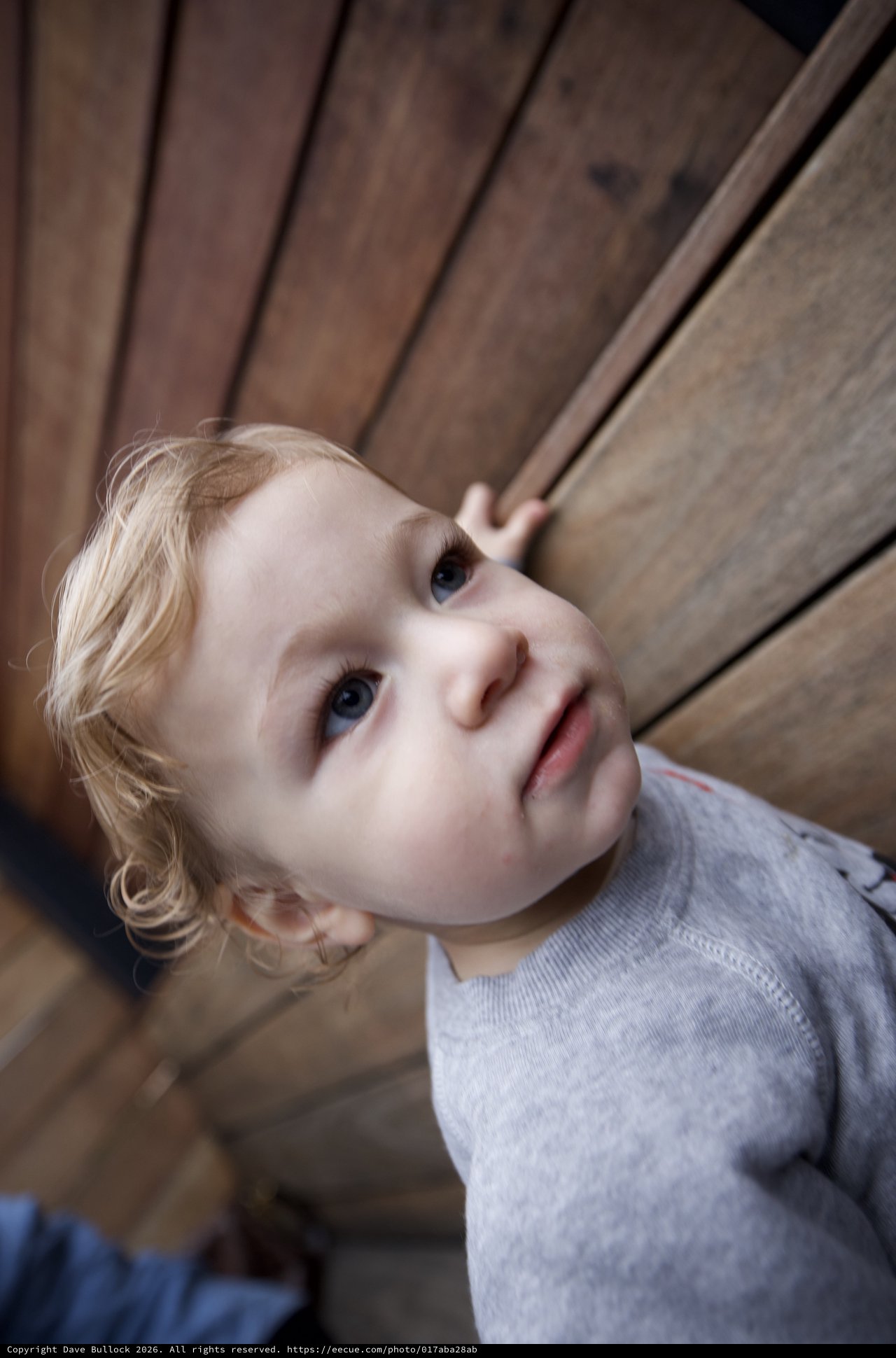 Young Child Looking Up with Wonder and Curiosity