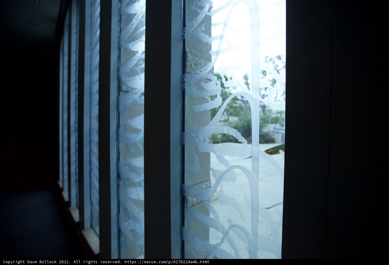 Serene Window View