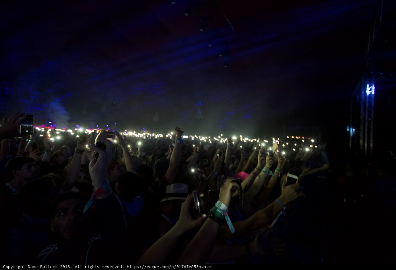 Concertgoers Illuminate the Night
