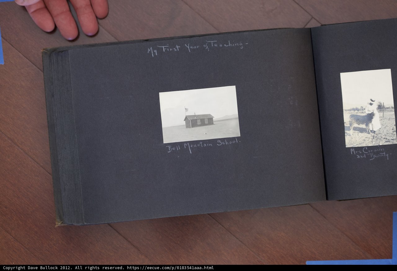 Family Album features book with beloved horse and dog