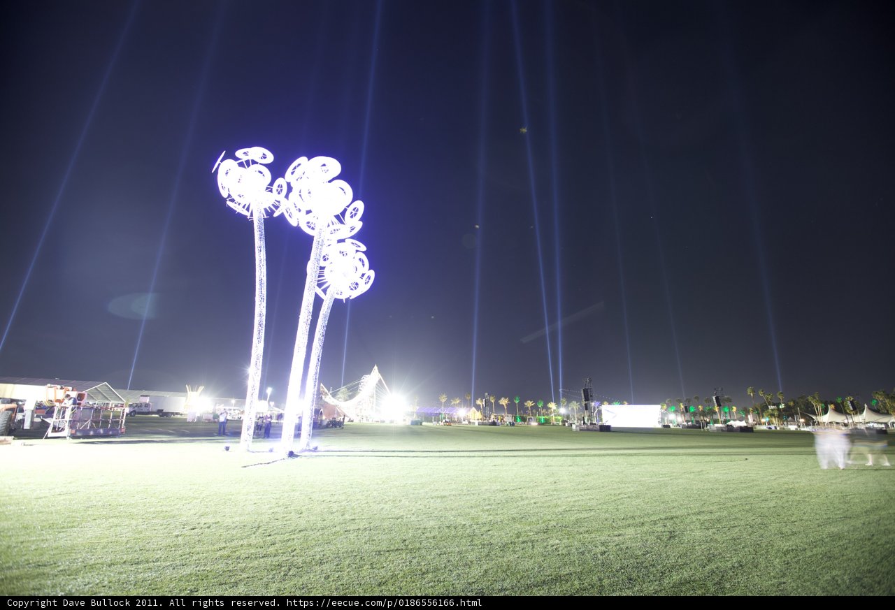 Palm Trees and Lights at Coachella