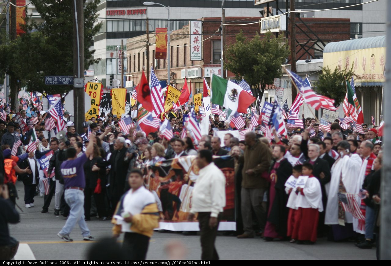 A Multitude of Flags and Banners