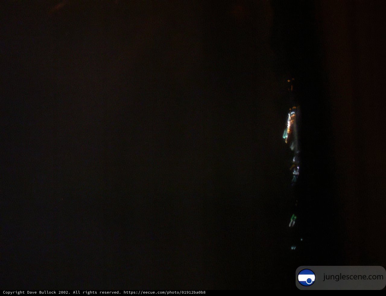 Nighttime Exploration