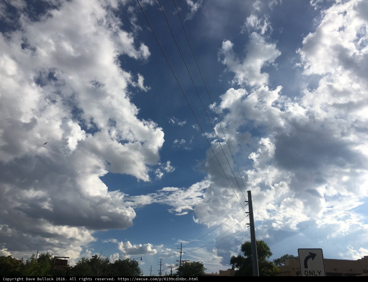 Skyline over Utility Poles