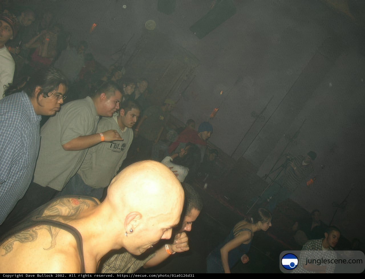 Nightclub Crowd