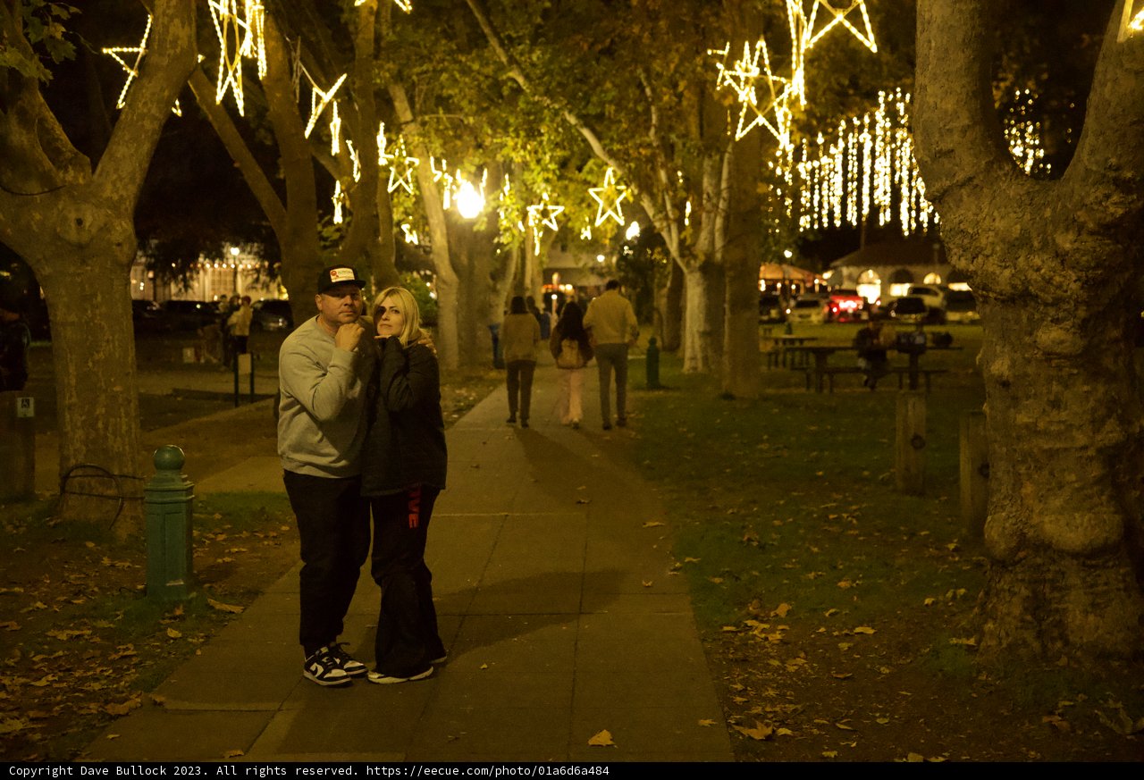 Enchanted Evening in Downtown Sonoma