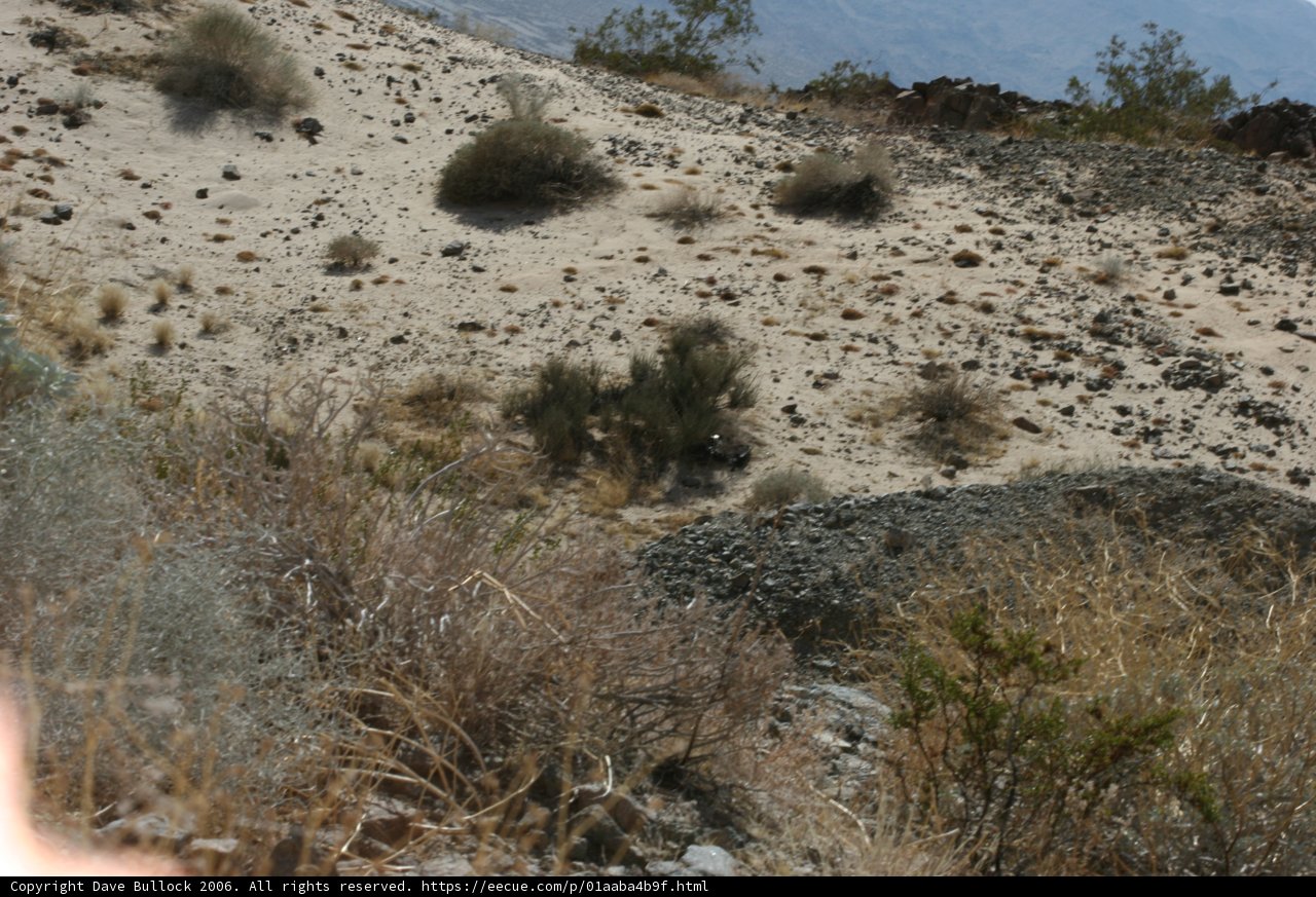 Riding Through the Desert Wilderness
