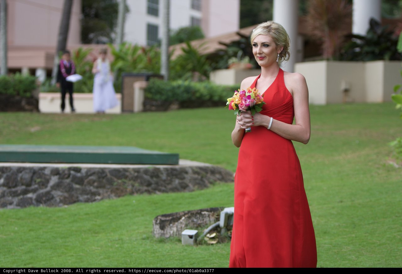 Red Dress and Blooms