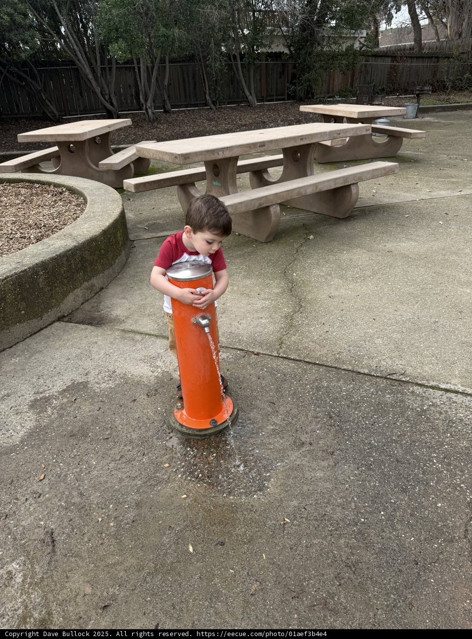 Childhood Wonder at Larkey Park