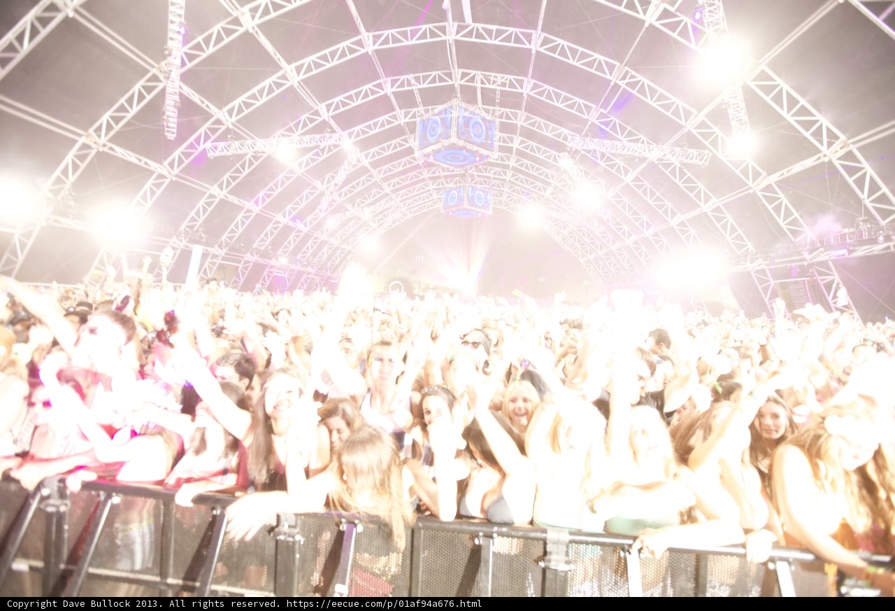 Spotlight on the Crowd