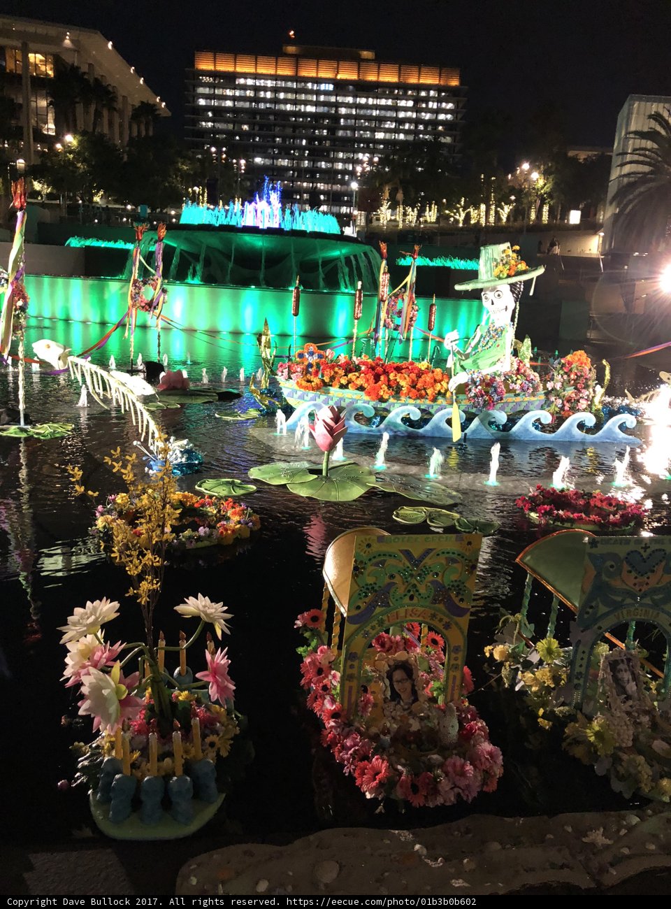 A Serene Pond with Vibrant Flowers