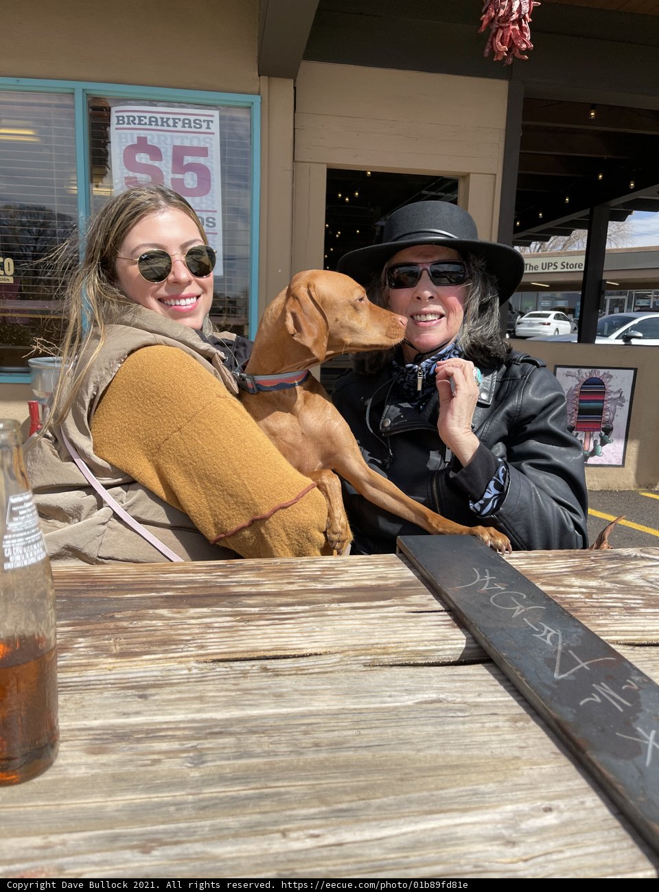 Sunny Day with Friends and Pup