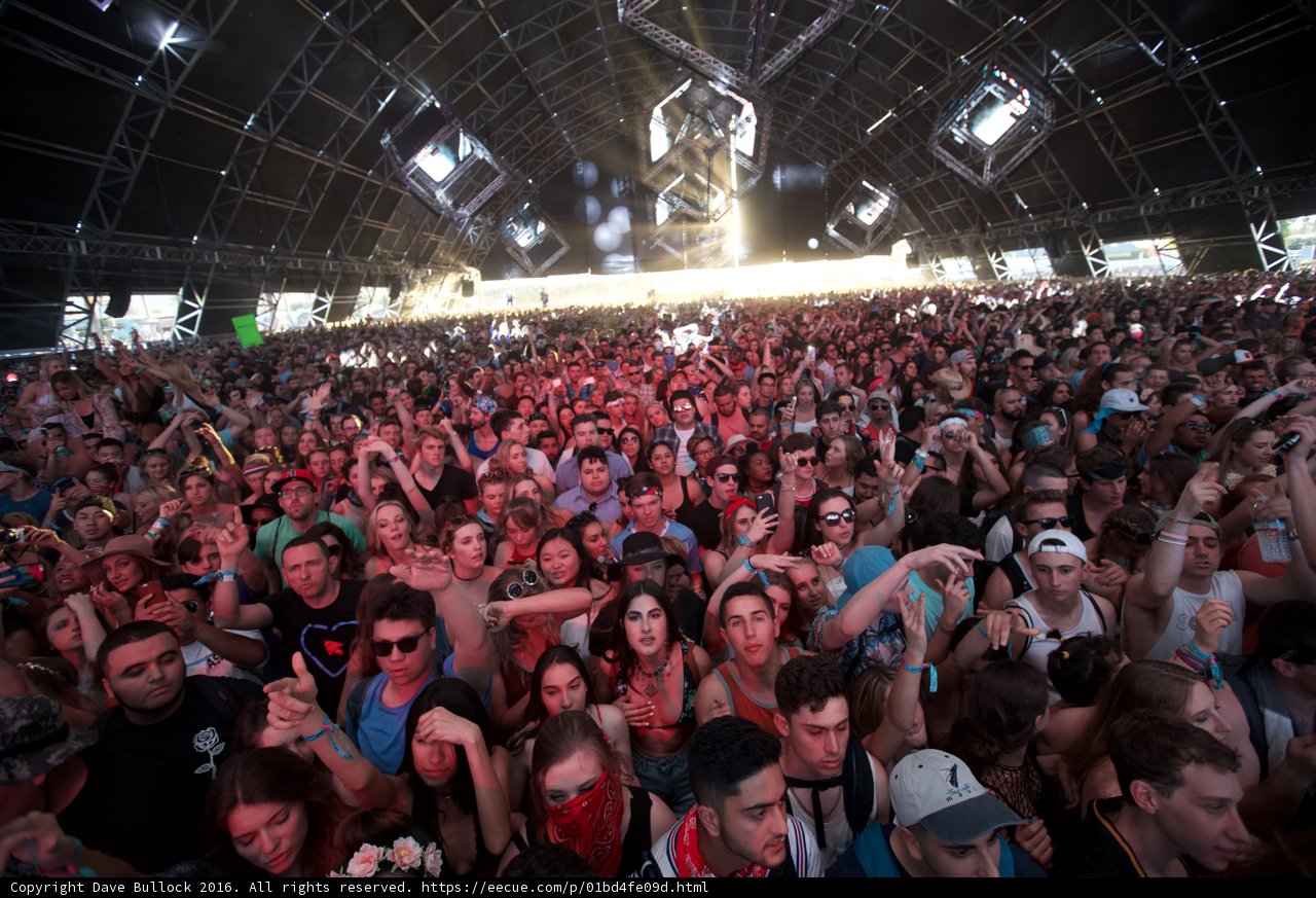 Coachella 2016 Crowd