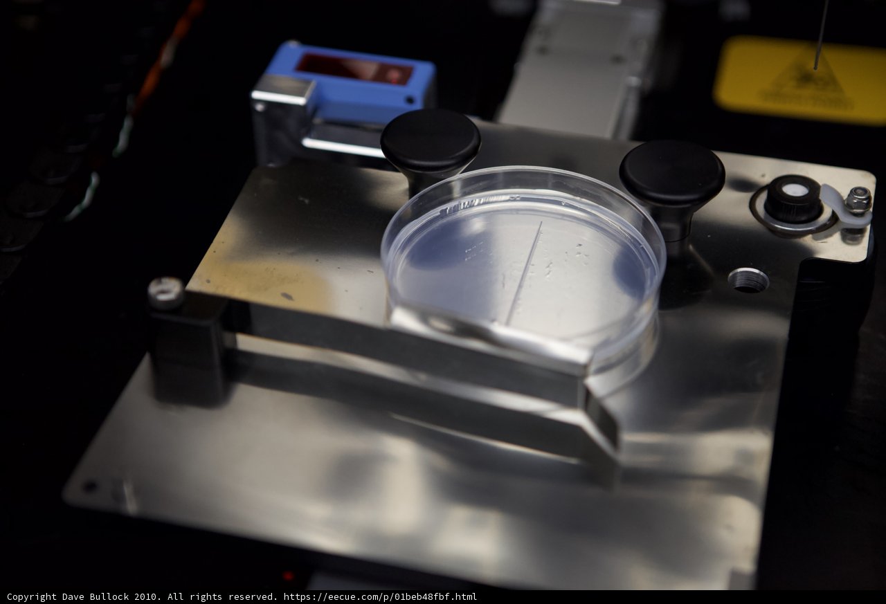 Microscopic View of Plastic Cup