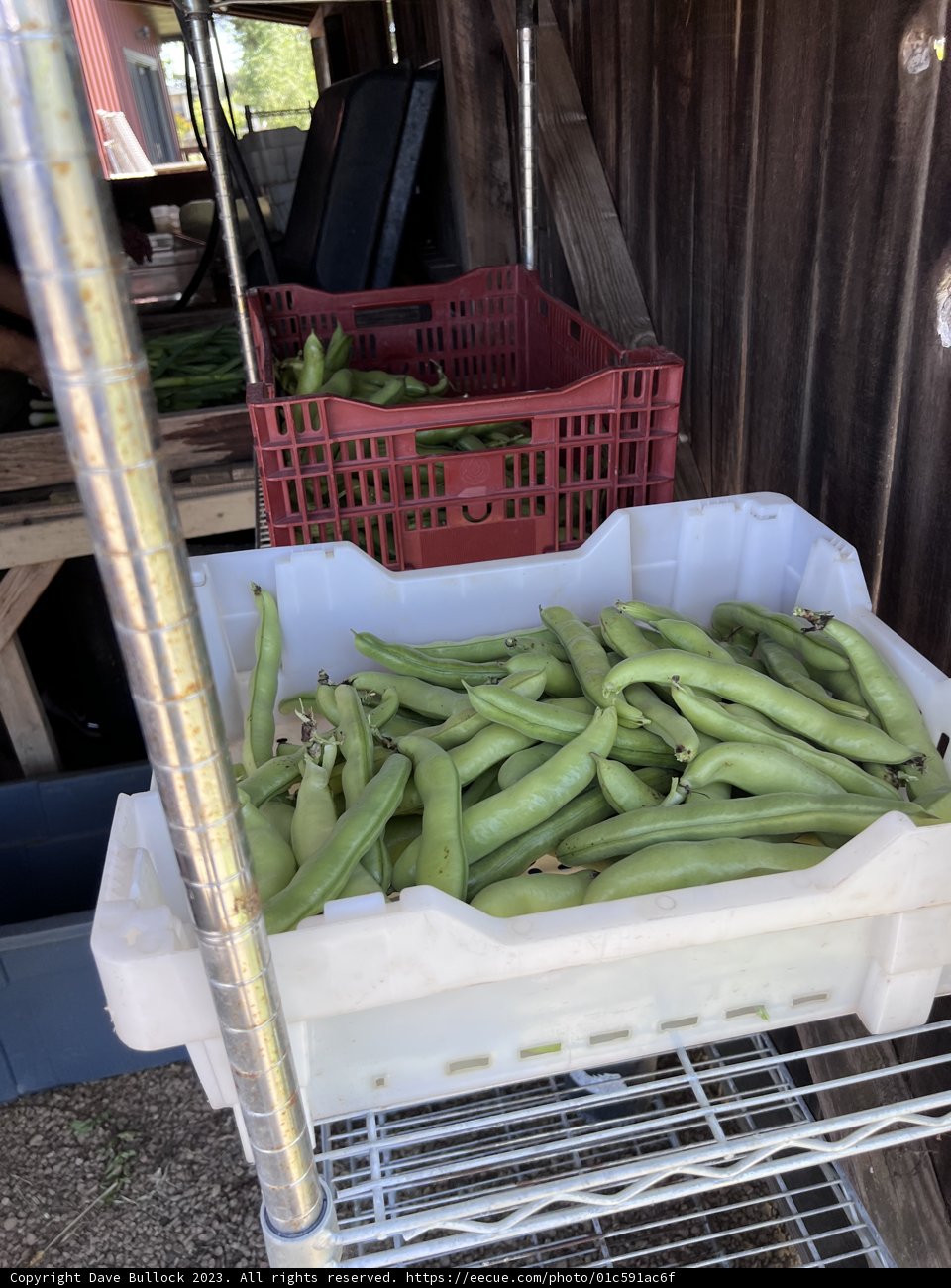 A Bountiful Harvest: From Sonoma's Rich Soil