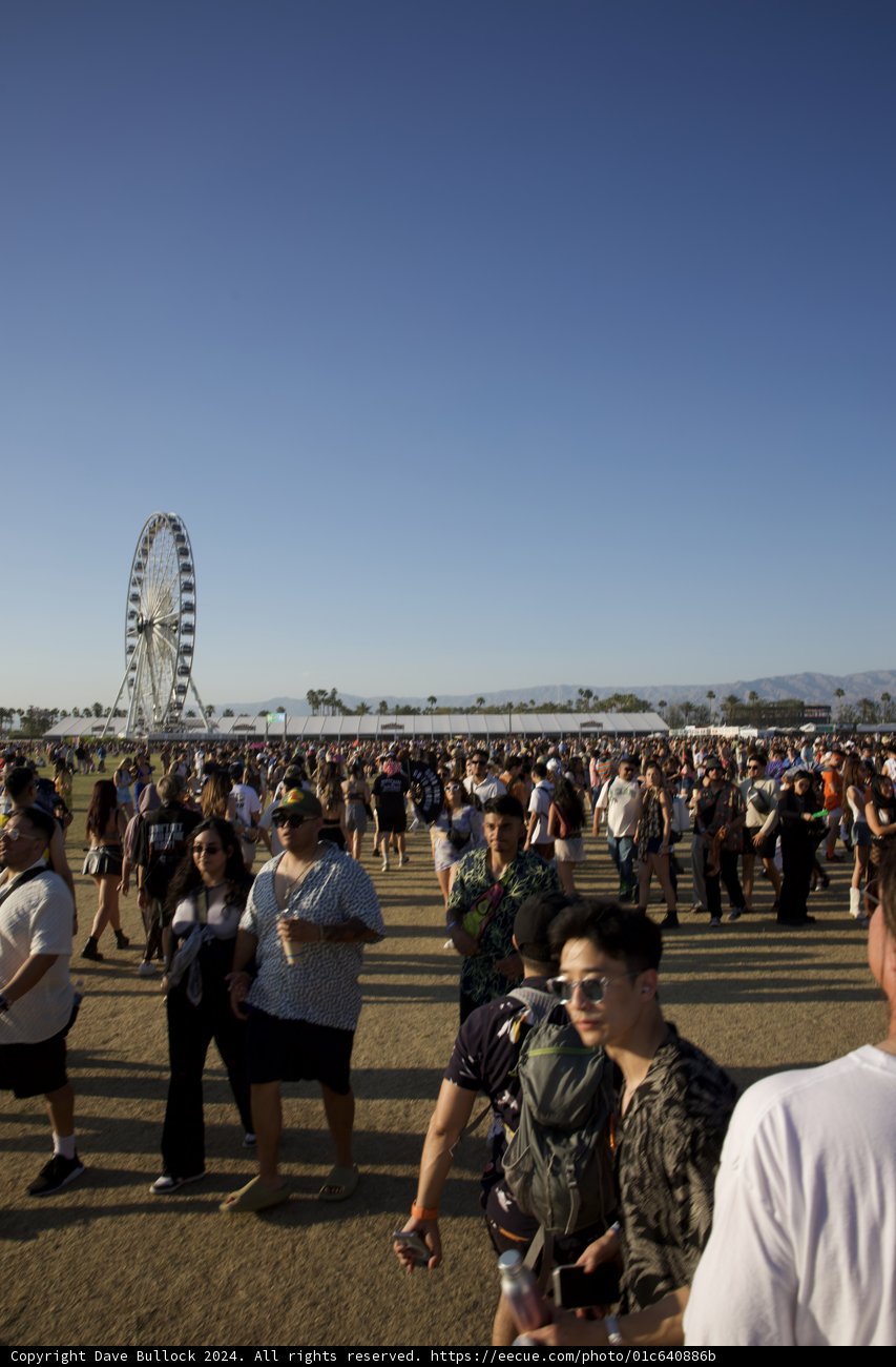 Coachella Vibes: Sunshine, Music, and Merriment