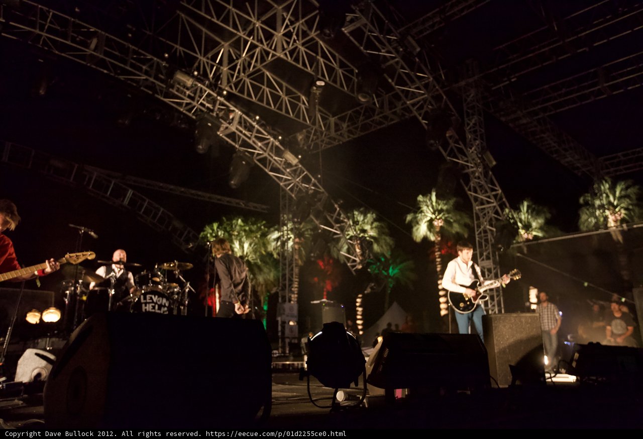 Palm Tree Serenade