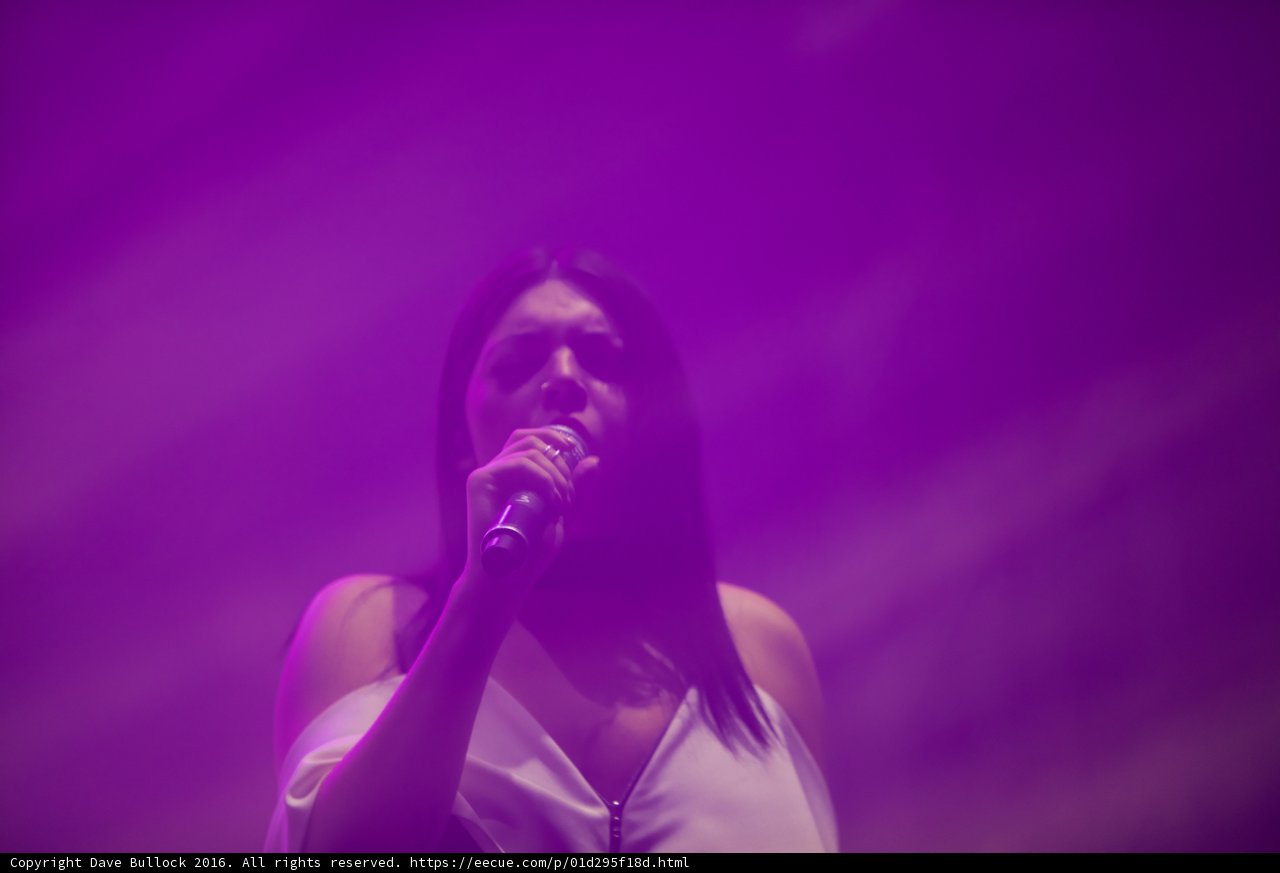 Purple Haze