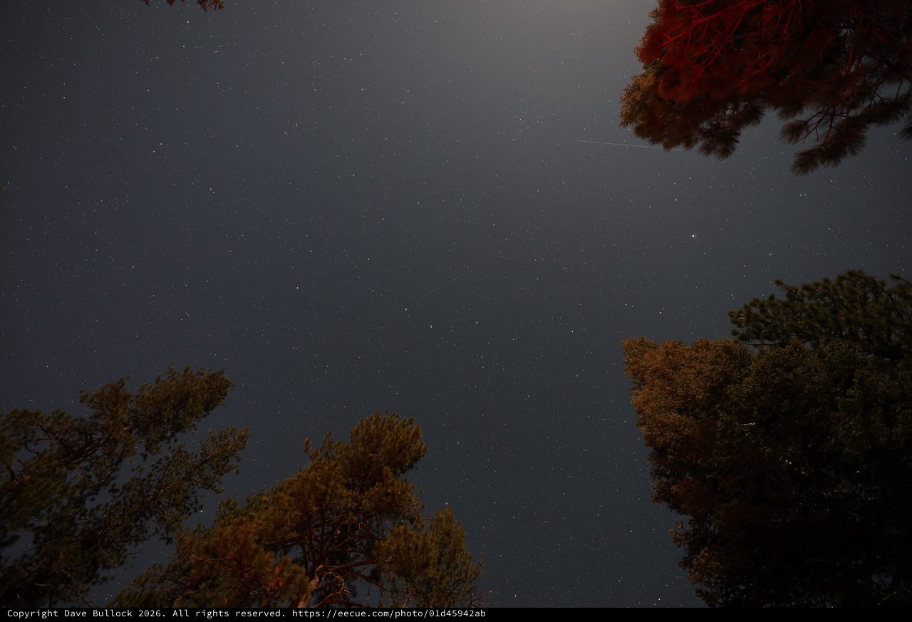 Starry Night Sky Over Mt. Lassen Forest