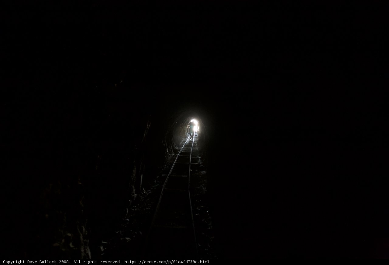 Journey Through the Night Tunnel