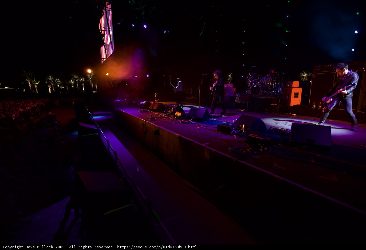 Purple Haze Performance