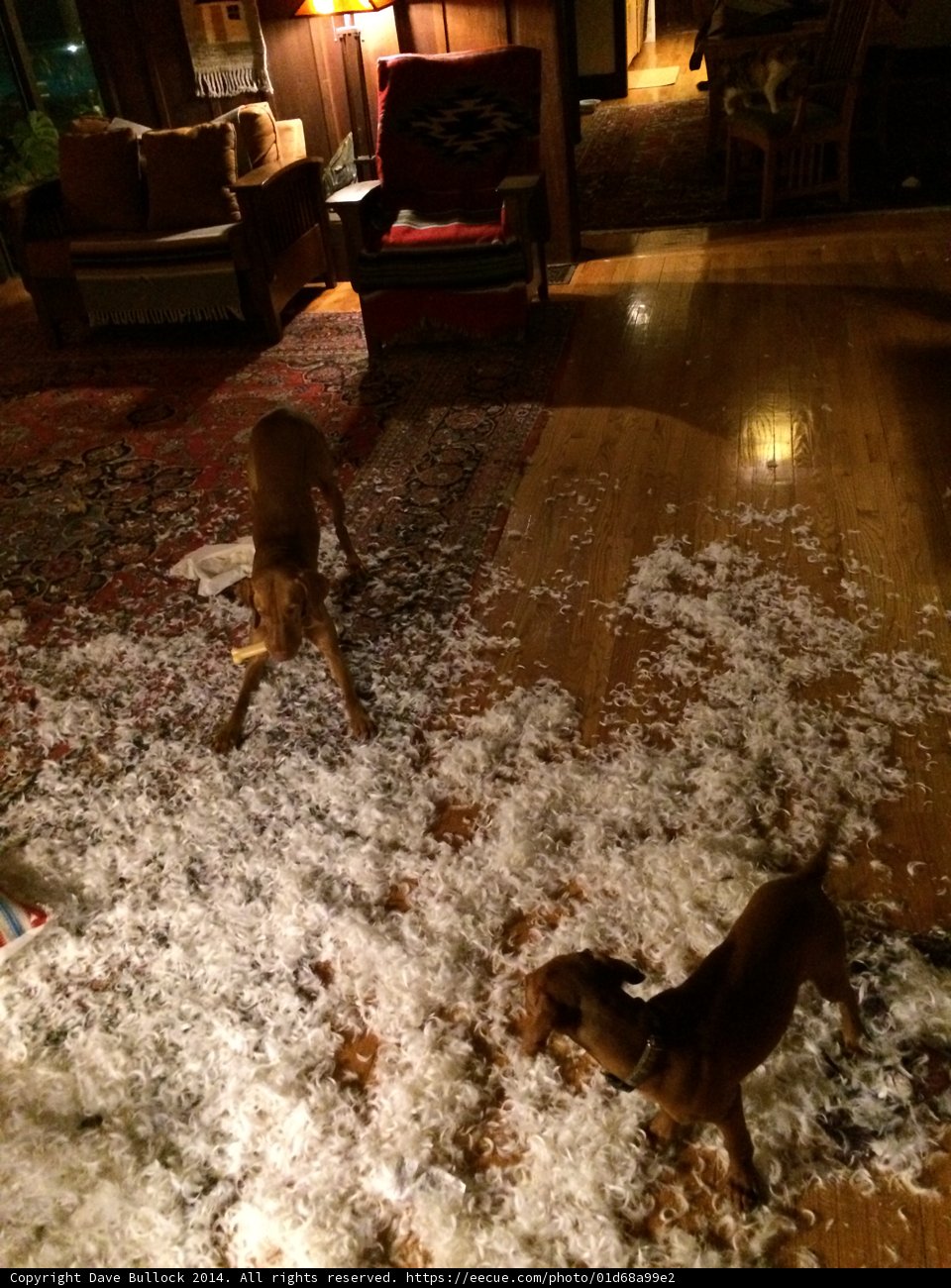 Puppies Make the Best Interior Decorators
