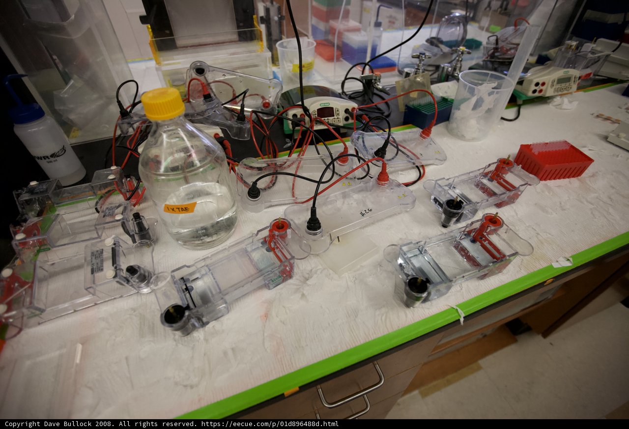 Electronic Devices in the Lab