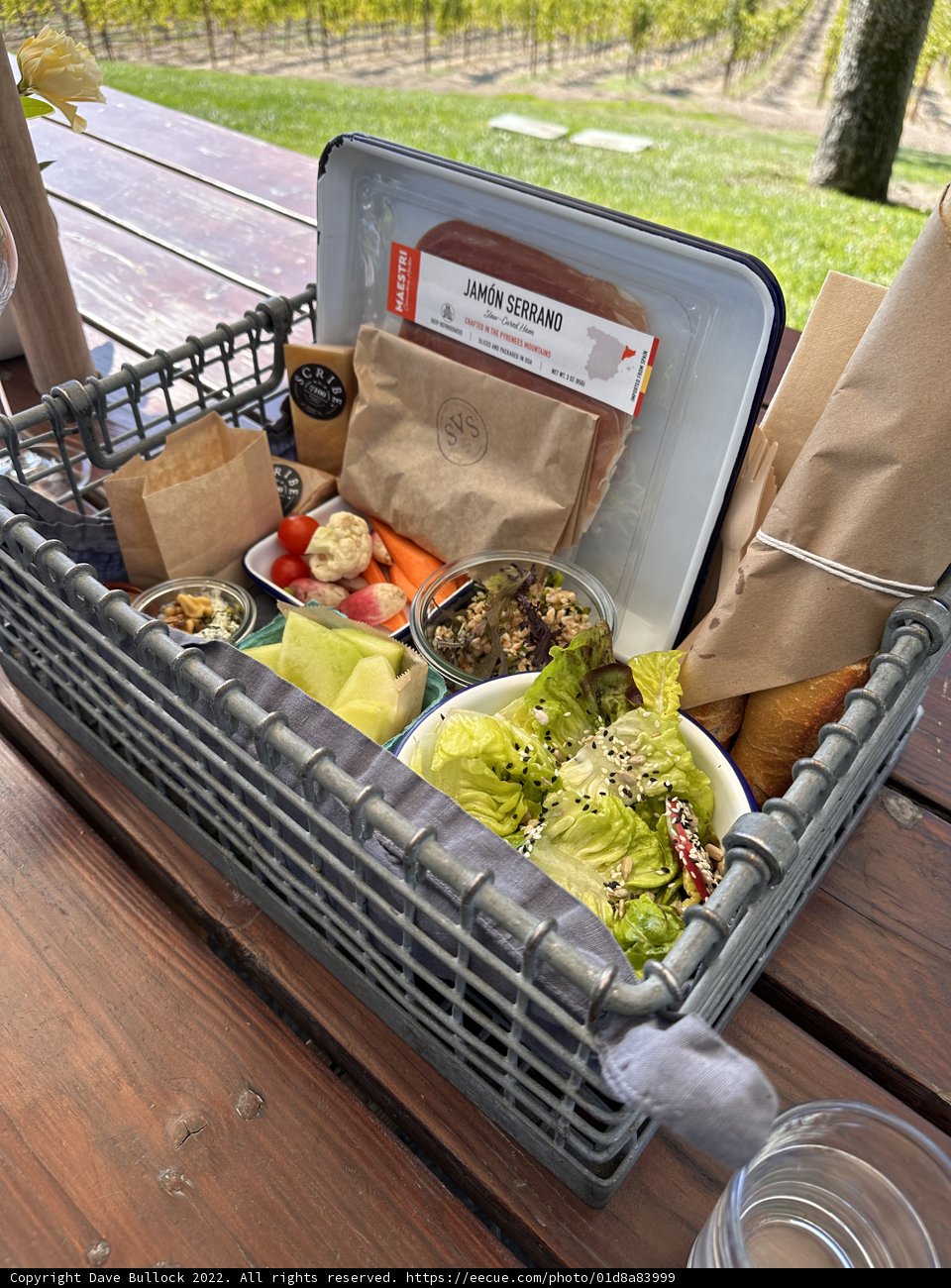 A Picnic Feast in Scribe